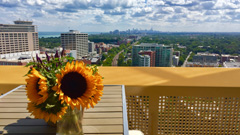 Optima Views Signature Homes -Luxury Evanston condos 847-312-1014