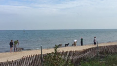 Man's Best Friend Evanston Dog Beach Optima Views 847-312-1014